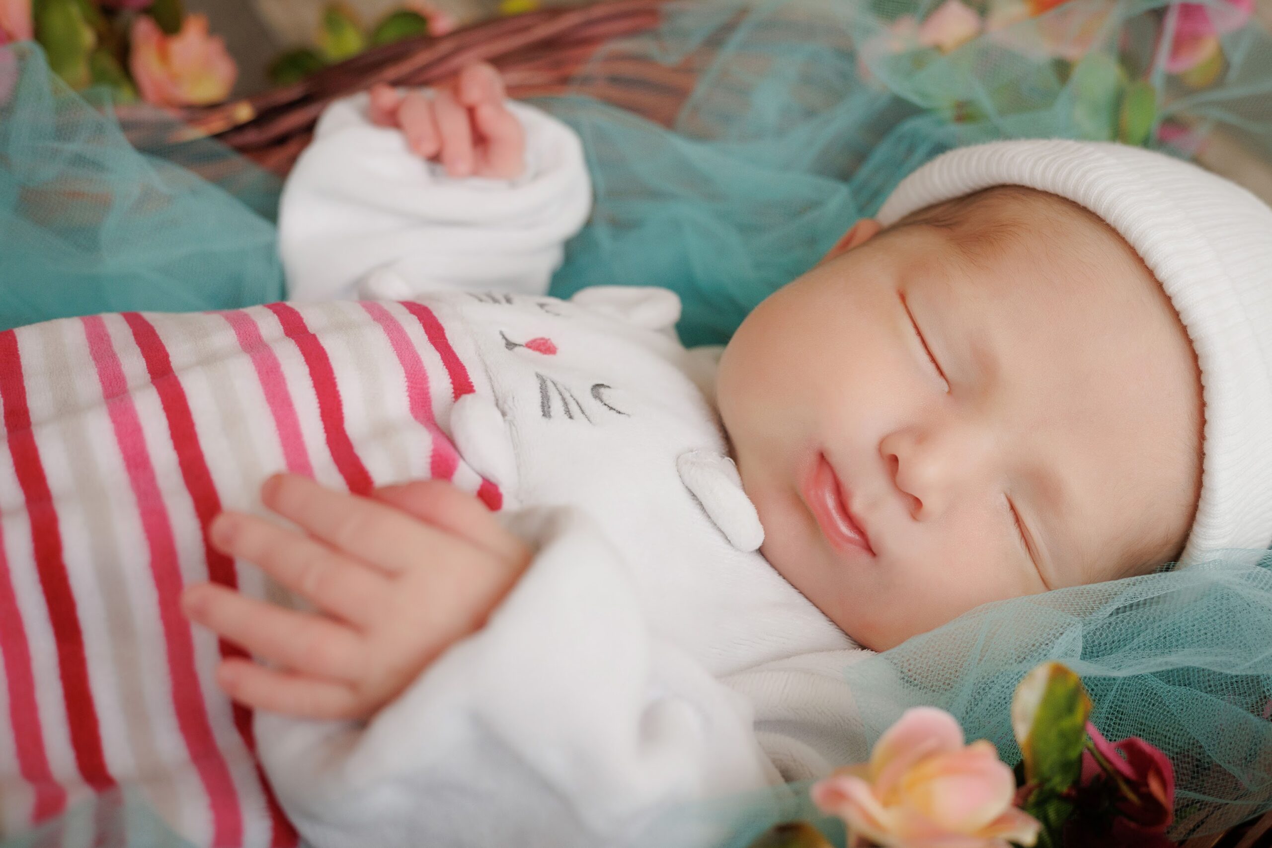 Z3A9244 scaled Sesión de fotos empresariales familia Sesion de fotos- Fotógrafos CDMX - Coberturas empresariales https://fotografoscdmx.com