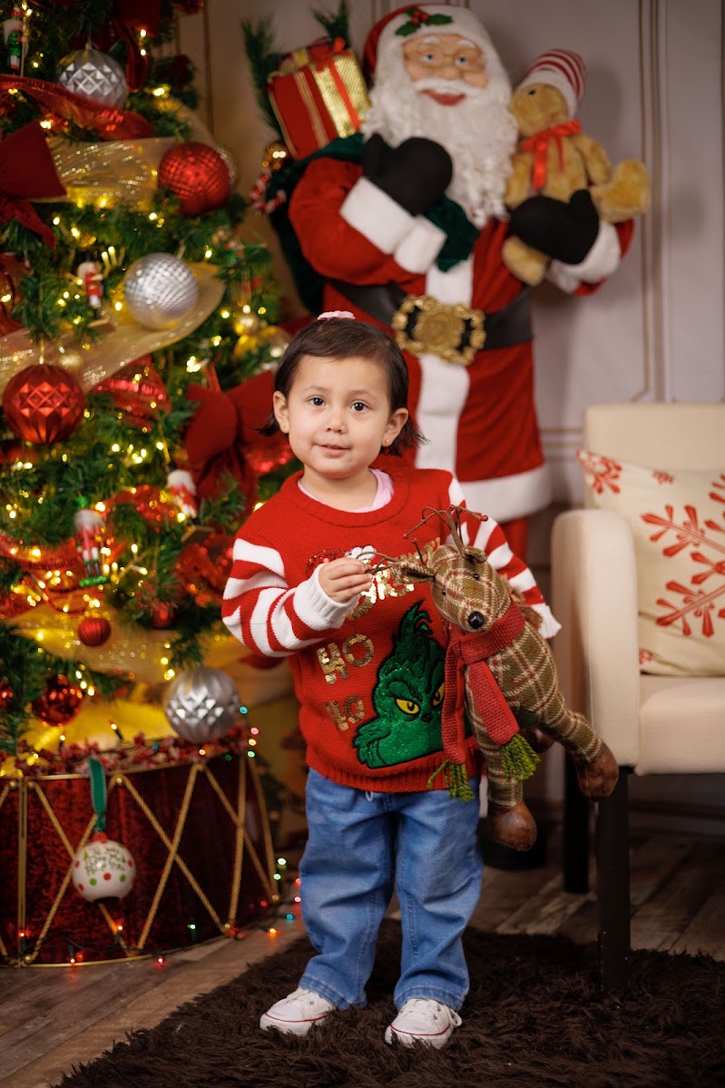 Fotos navidenas fotografos CDMX 07 Sesión de fotos empresariales familia Sesion de fotos- Fotógrafos CDMX - Coberturas empresariales https://fotografoscdmx.com